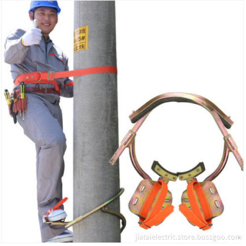 Pole Climbing Champion